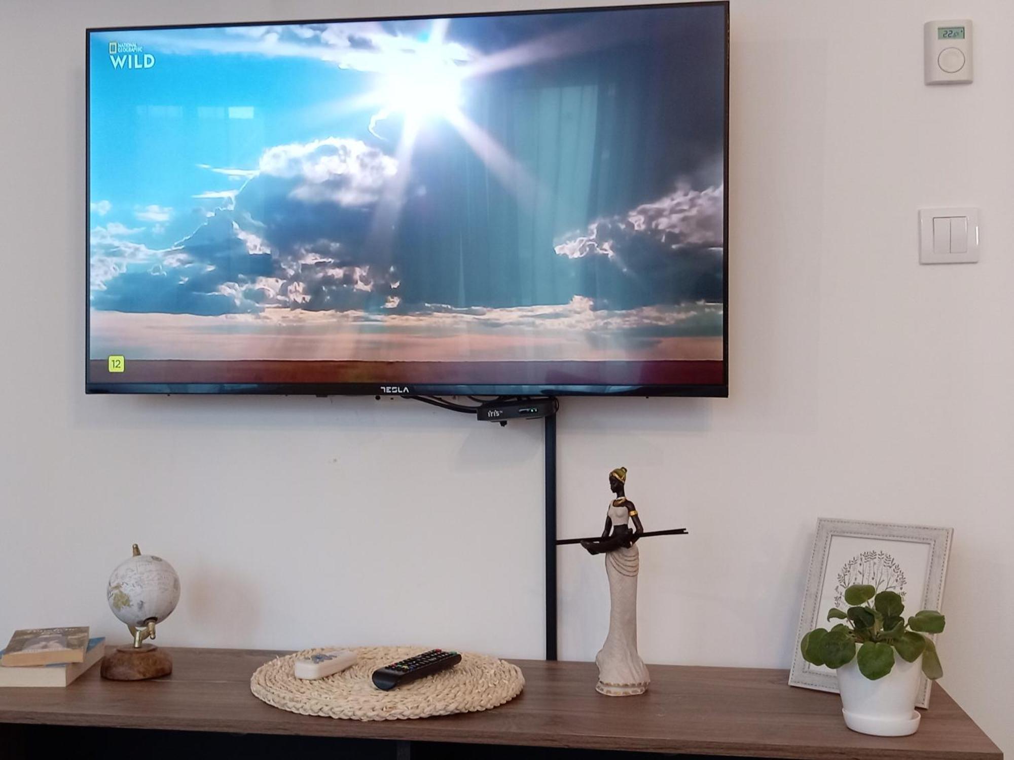 Tera Apartment Zemun 베오그라드 객실 사진